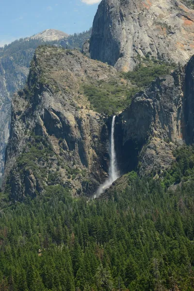 DSC_2359 (Large).JPG